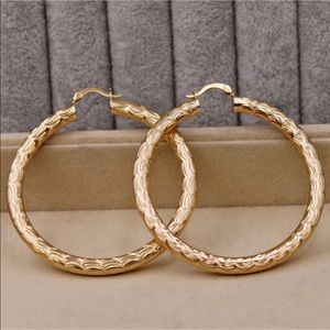 Gold Filled Hoop Earrings